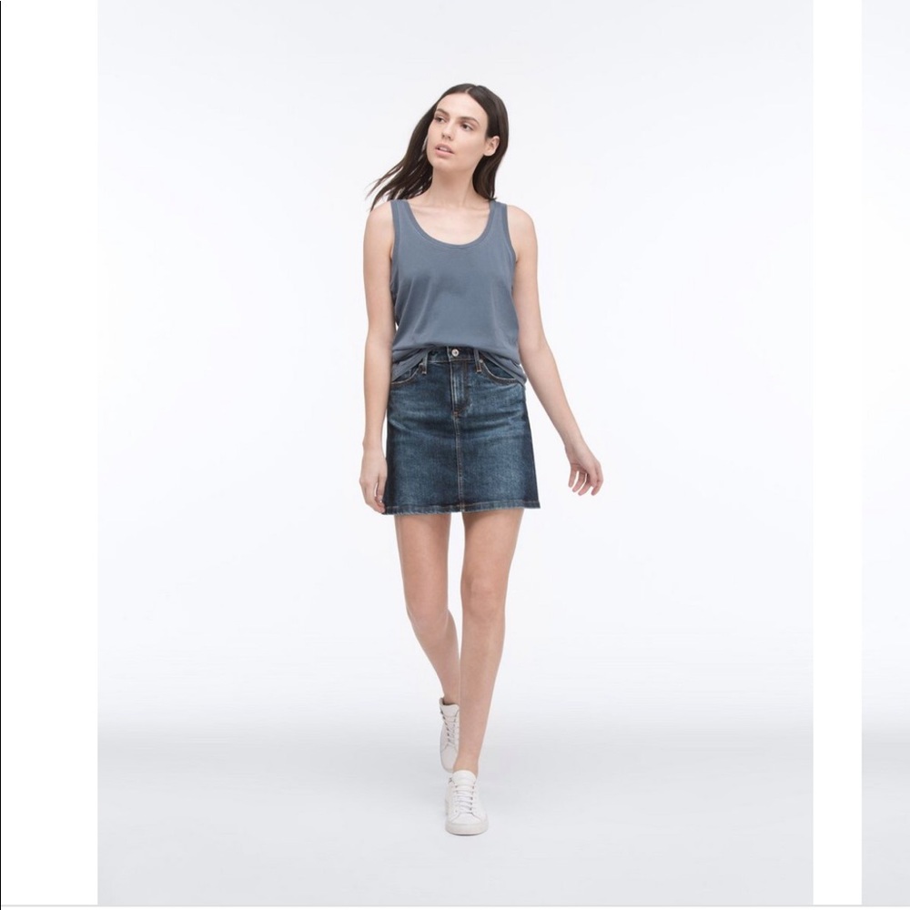 Adriano Goldschmied The Ali A-Line Skirt